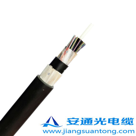 GYFTZY63光纜首.jpg